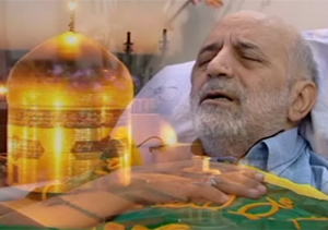 پرچم حرم مطهر امام رضا (ع) در آغوش جمال شورجه + فیلم