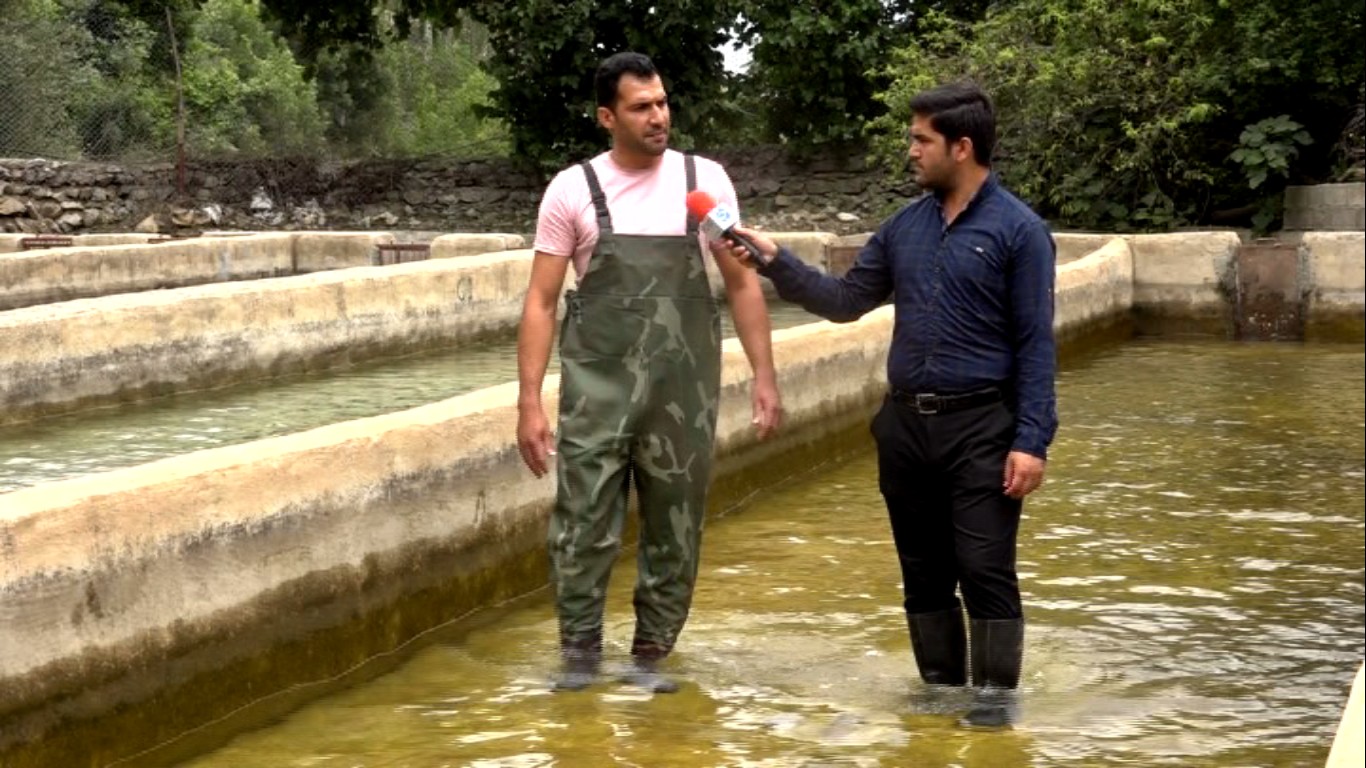 از تولید ۲۰ تن ماهی در مزرعه ۱۰ تنی تا سفری به سرسبزترین روستای گردشگری ایلام/ کُلم، روستای بکر و قطب تولید ماهی قزل آلای استان
