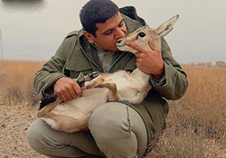 آزمودن دوباره تجربه خطای لجن زدایی، این بار در یک کلان شهر + صوت