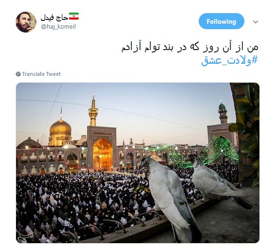 #ولادت_عشق/ صحنت مدینه،مکه،نجف؛کربلای ماست آری؛تمام هستی ما مشهدالرضاست +تصاویر
