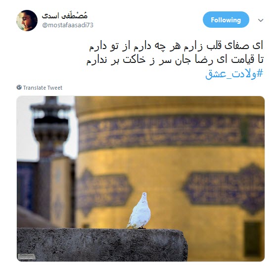 #ولادت_عشق/ صحنت مدینه،مکه،نجف؛کربلای ماست آری؛تمام هستی ما مشهدالرضاست +تصاویر