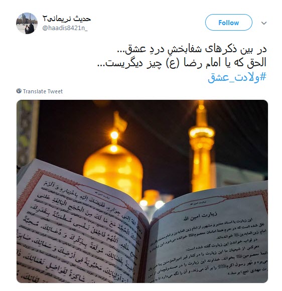 #ولادت_عشق/ صحنت مدینه،مکه،نجف؛کربلای ماست آری؛تمام هستی ما مشهدالرضاست +تصاویر