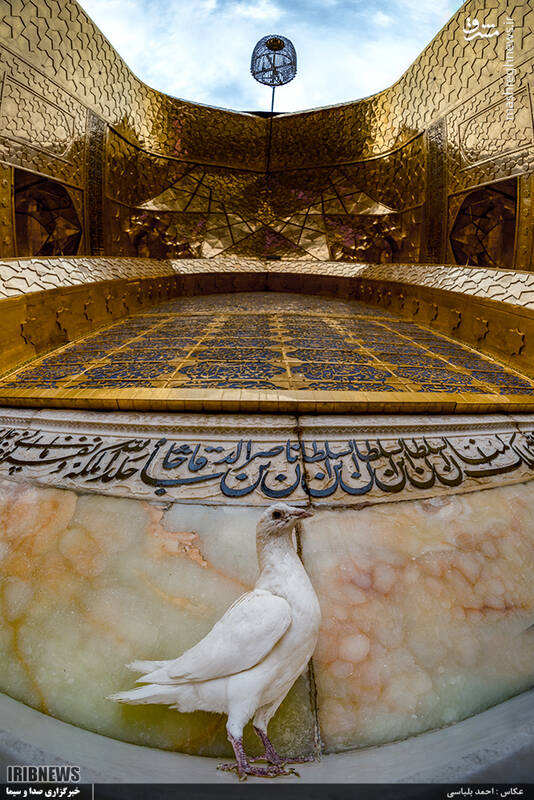 تصویری زیبا از حرم مطهر رضوی