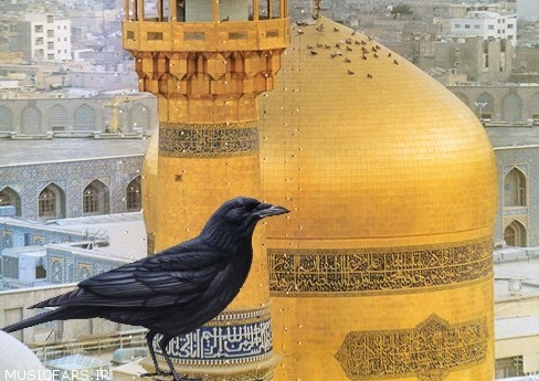 نماهنگ زیبای 