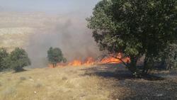 فیلمی از آتش&zwnj;سوزی جنگل در بخش چوار