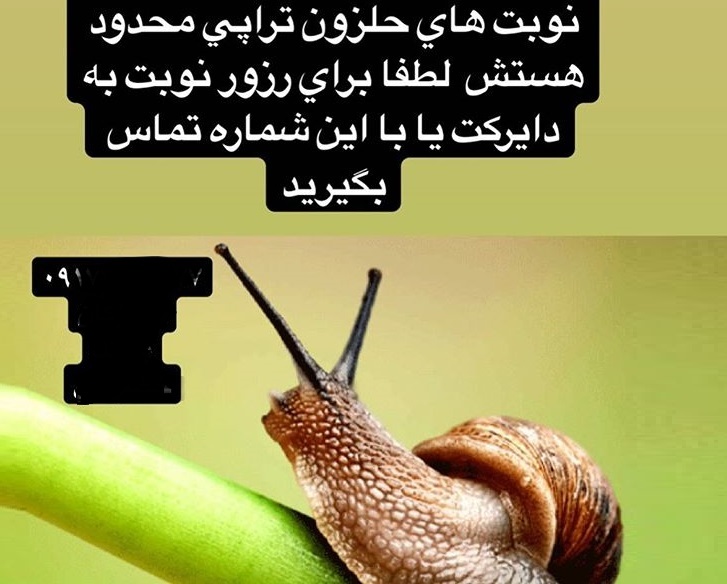 //////