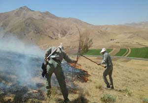 آتش سوزی جنگل‌های کوماس شهرستان چگنی مهار شد