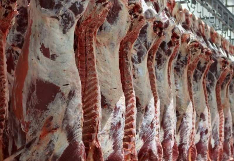 کشتار غیرمجاز دام در برخی نقاط حاشیه شهر‌های استان ایلام