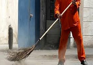 خرید تضمینی بیش از ۸ هزار تن دانه روغنی کلزا در آذربایجان غربی
