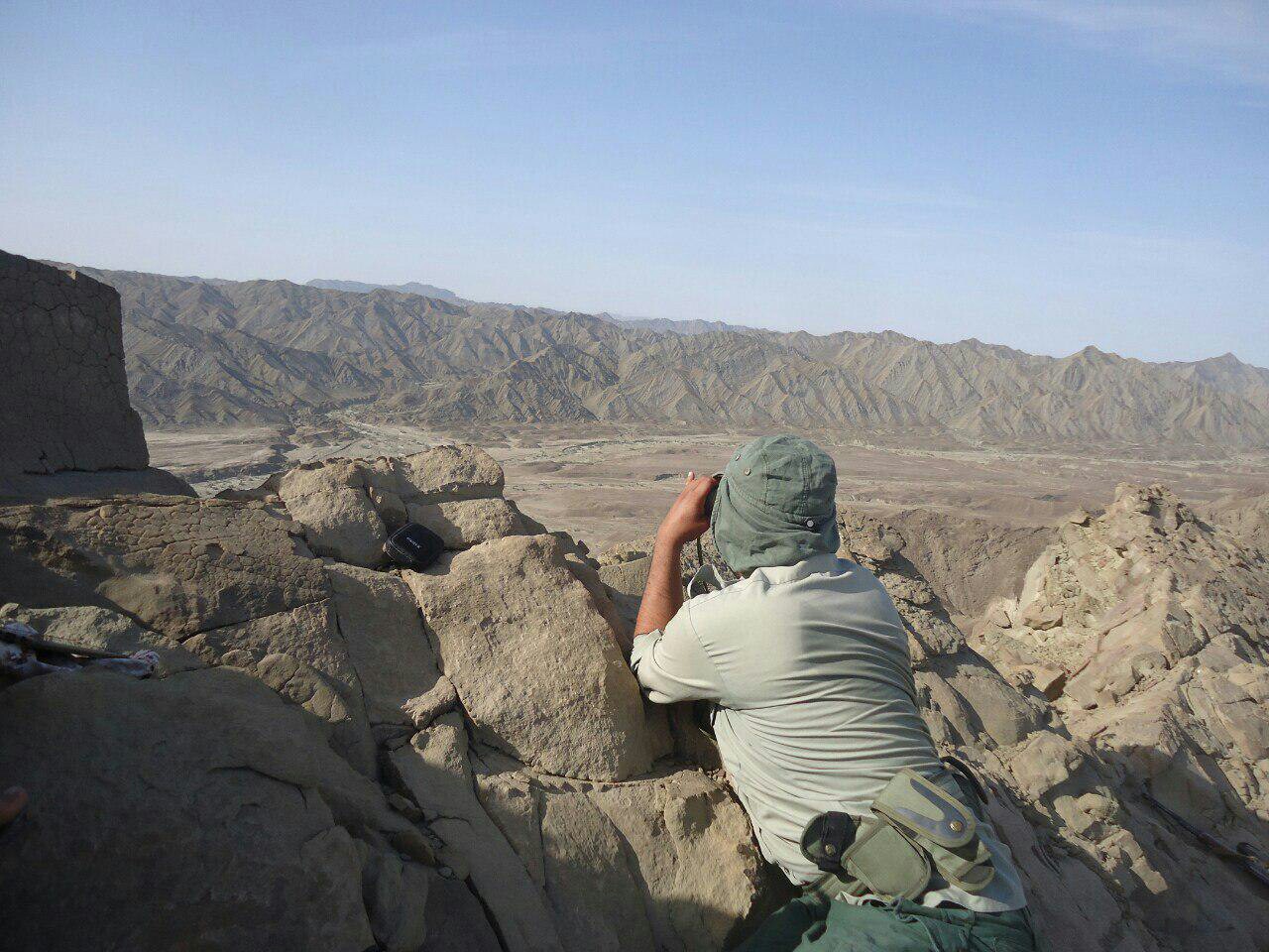 آغاز سرشماری پستانداران استان سیستان و بلوچستان