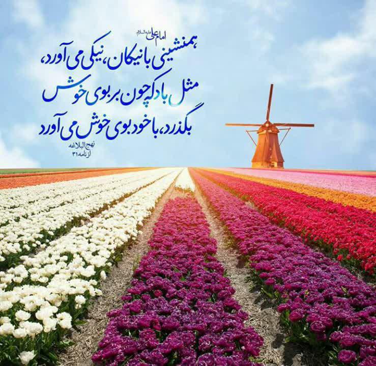 حدیثی از امام علی(ع) در خصوص اثر همنشینی با نیکان +تصویرنوشته