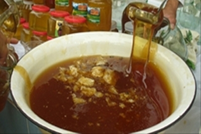کشف عسل مشکوک به تقلبی در رودسر