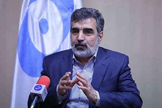 کمالوندی: کاهش تعهدات برجامی از روی لجاجت نیست