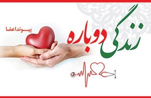 اهدای عضوِ ۱۵ بیمار مرگ مغزی