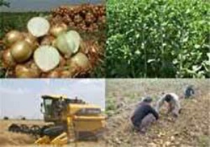 تشکیل ۹۷ تعاونی در استان در طرح "روستا تعاون"