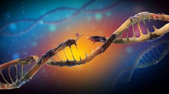 پیشگیری از سرطان پوست با ترمیم سلول&zwnj;های آسیب&zwnj;دیده DNA