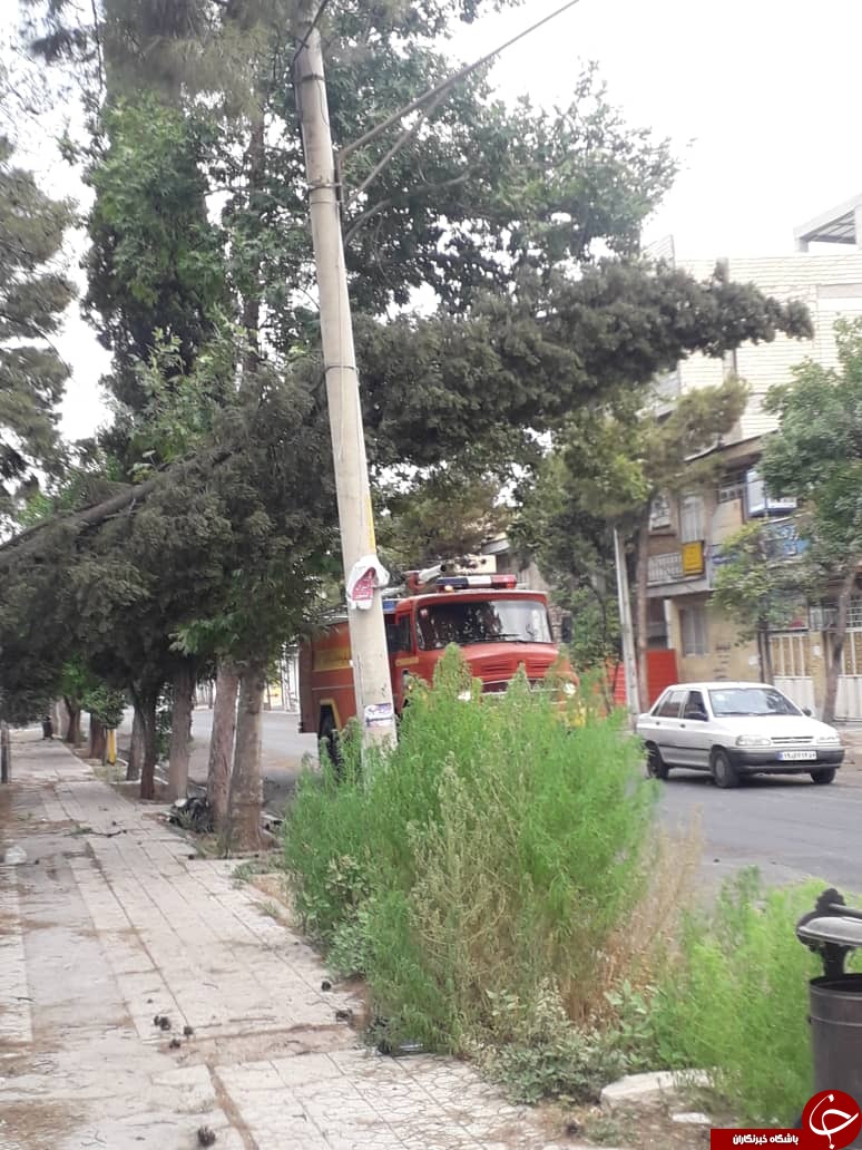 وزش باد شدید در فسا حادثه آفرید/آتش سوزی تیر برق در فسا