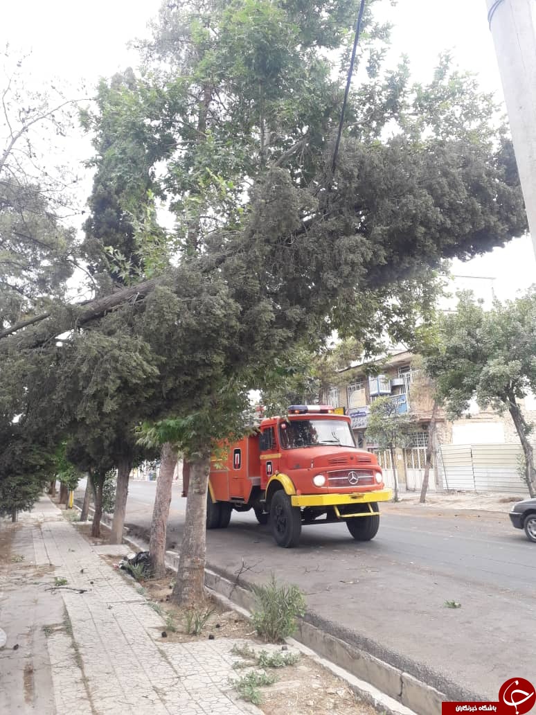 وزش باد شدید در فسا حادثه آفرید/آتش سوزی تیر برق در فسا