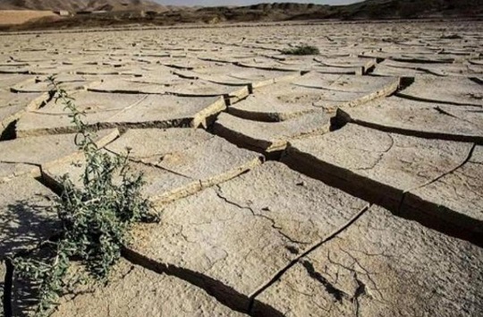 تلاش برای احیای دوباره دشت شهرکرد