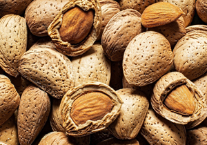 صادرات ۵۶۰ میلیارد ریال بادام از چهارمحال و بختیاری