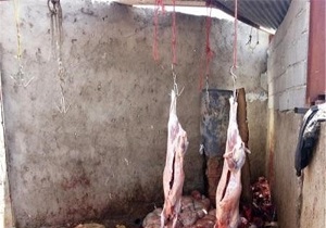 برخورد قاطع دامپزشکی قزوین با ذبح غیر مجاز دام