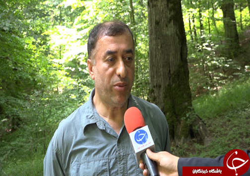 زمرد شمال ثبت جهانی شد