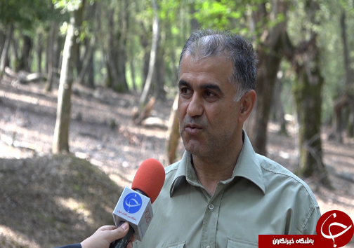 زمرد شمال ثبت جهانی شد