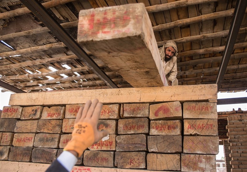 قاچاق چوب، منبع جدید درآمد برای داعش در افغانستان