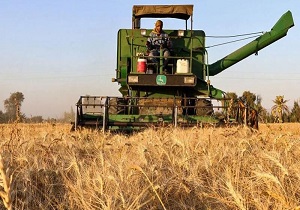 تمهیدات لازم برای برداشت گندم و جو در شهرستان کوثر انجام شده است