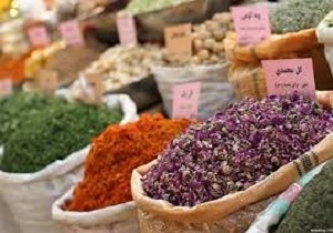 اختصاص ۵۰۰ میلیارد ریال اعتبار برای فرآوری گیاهان دارویی در اردبیل