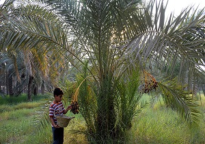 سفر مردم به شهرستان کارون برای دیدن جاذبه‌های گردشگری