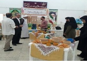 نمایشگاه هنر‌های تجسمی توانخواهان بروجرد برگزار شد