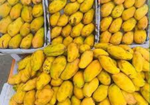 چهارمین مرکز قرنطینه گیاهی سیستان و بلوچستان در مرز زمینی ریمدان چابهار راه اندازی شد