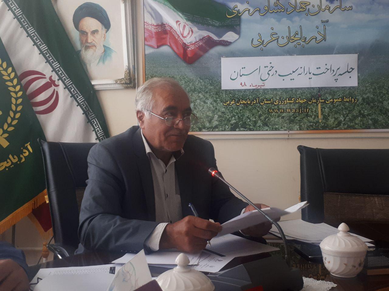 آغاز پرداخت یارانه صادراتی به صادرکنندگان سیب درختی آذربایجان غربی