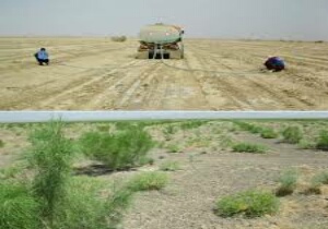آبیاری ۳۵۰۰ هکتار از اراضی بیابانی خراسان جنوبی