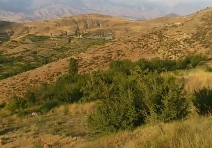 نمایی از طبیعت زیبا در روستای چاله + فیلم