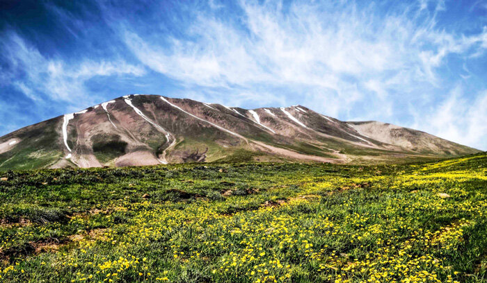 یک پیشنهاد طلایی برای آخر هفته/ لطفا تعطیل نباشید! + تصاویر