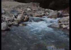 نمایی از طبیعت تابستانی در روستای بوژان + فیلم