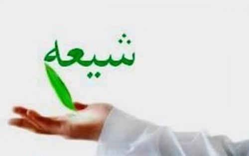 تفاوت‌های شیعه و مُحب اهل بیت (ع) که باید بدانید