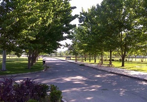 شست وشوی درختان شهر اصفهان با آب وصابون