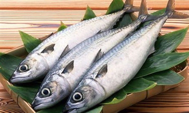 مظنه خرید ماهی در بازار چند ؟ + جدول