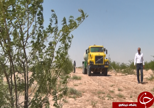 نهالکاری، مرهمی بر کانون&zwnj;های گردوغبار خوزستان/تامین آب و اعتبار، مهم&zwnj;ترین دغدغه ادامه عملیات