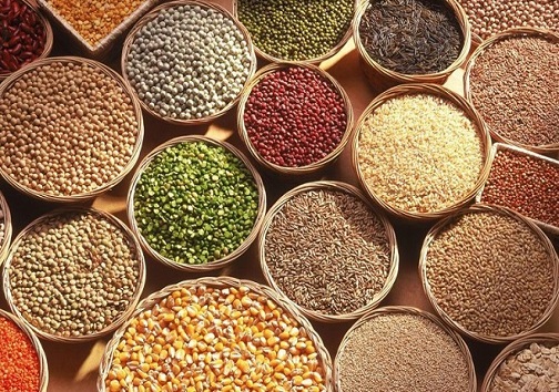 خوراکی&zwnj;های پروتئین&zwnj;دار که به خوش اندام شدنتان کمک می&zwnj;کند