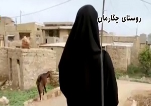ماجرای تلاش یک بانوی کارآفرین برای ایجاد اشتغال در روستاها + فیلم
