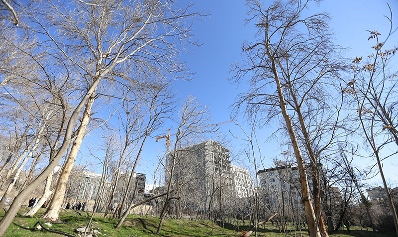 تهران دارای بوستان پدر می&zwnj;شود