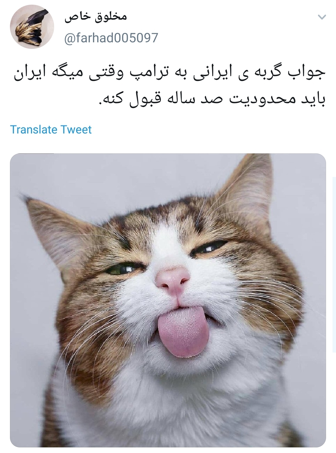 100 سال چیه؟50 سال دیگه این موقع ما اردوی راهیان نور می بریم سواحل فلوریدا + تصاویر