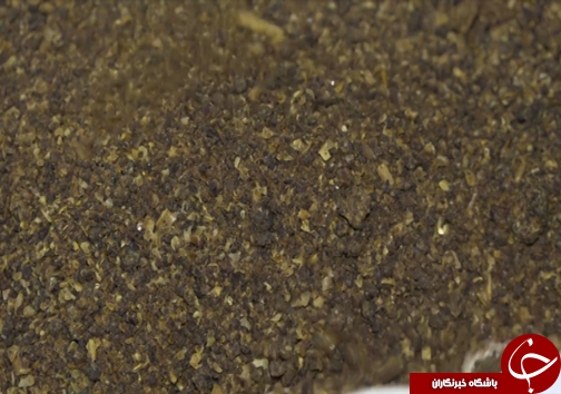 تولید غذایی ماهی با استفاده از ضایعات ماهی قزل آلا +فیلم