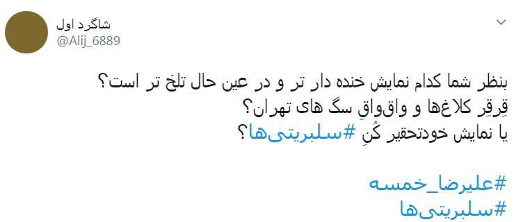 واکنش کاربران به استندآپ کمدی جنجالی علیرضا خمسه در کانادا