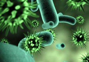 بیستمین کنگره بین المللی میکروب شناسی شهریور ماه درکرمان