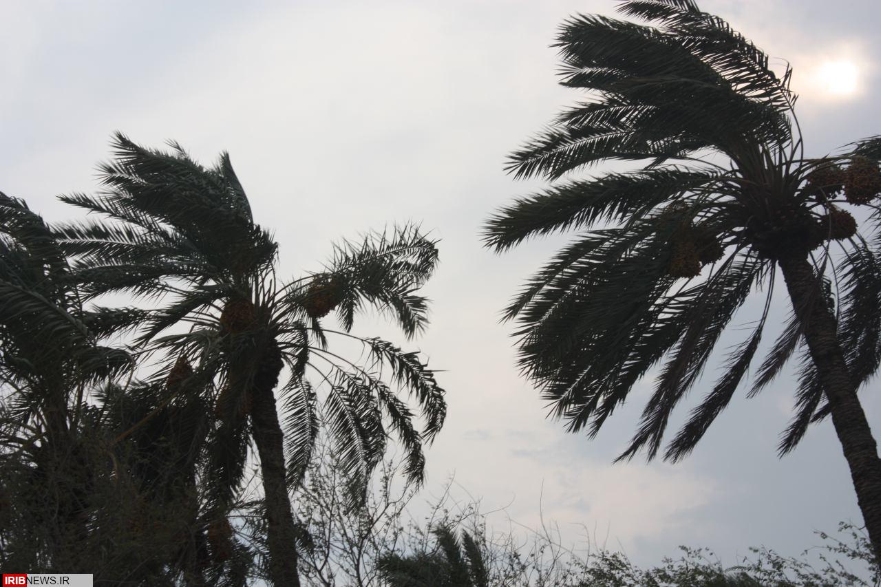 قطع برق بر اثر وزش تند باد در خنج
